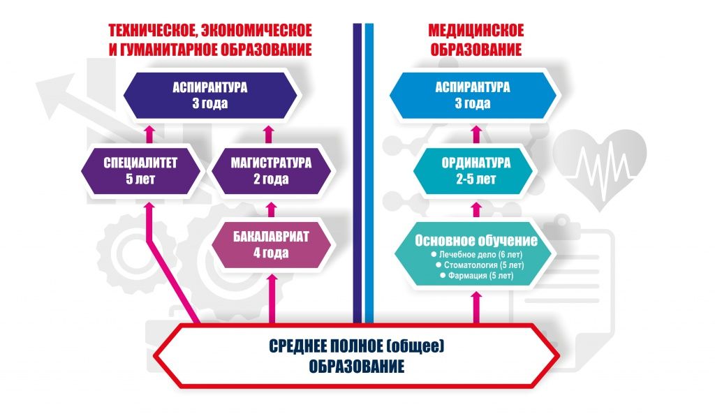 Медицинское образование бакалавриат. Что такое аспирантура магистратура бакалавриат ординатура. Специалитет ординатура аспирантура. Ординатура и магистратура в чем разница. Ординатура магистратура бакалавриат разница.